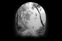 The Eclectic Collection ~ Cheviot Tunnel