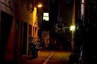 The Urban Collection ~ Night Visitor 2
