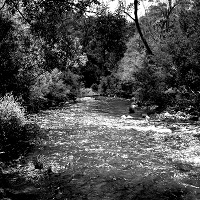 The Eclectic Collection ~ River Scene 1