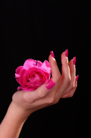 The Eclectic Collection ~ Rose and Hand